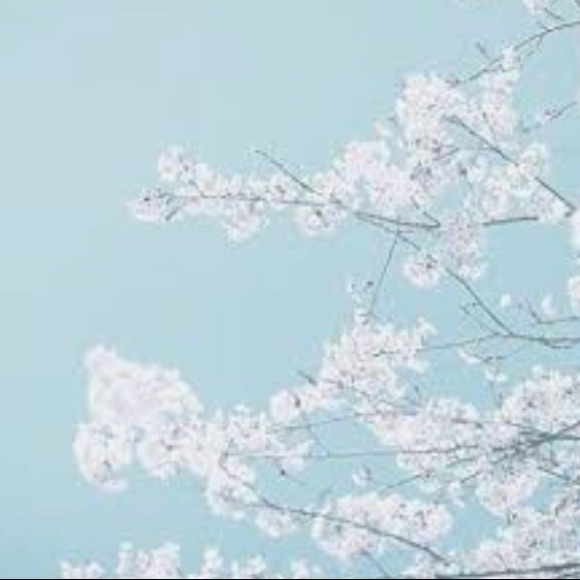 Meet your Posher, G - Picture 1 of 1